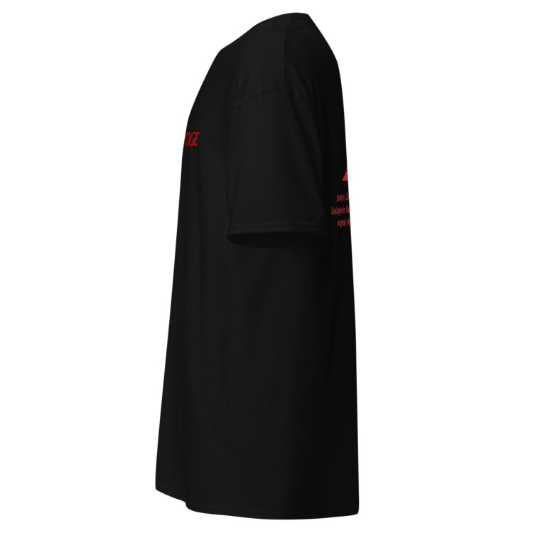 Camiseta J HOPE - Hope on the stage color negro unisex - Imagen 7